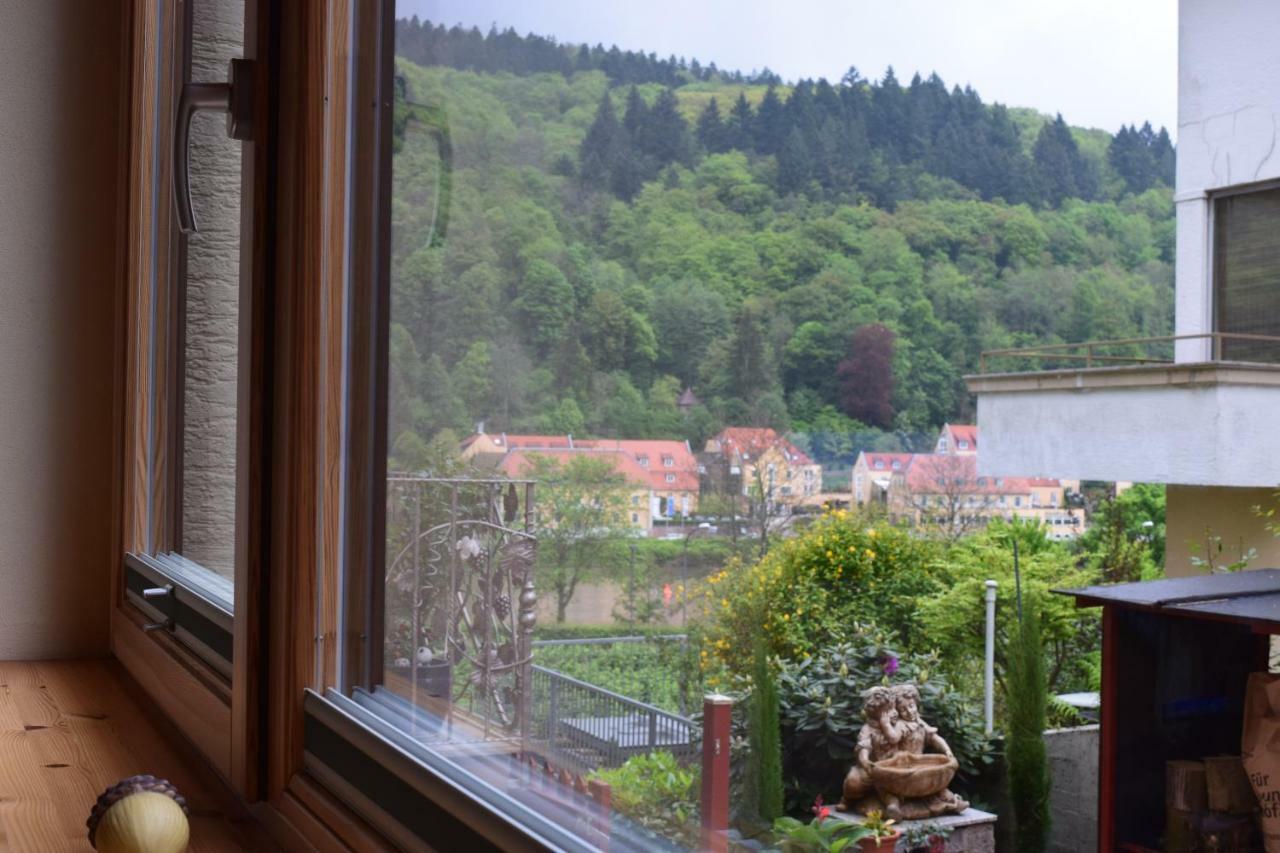 Nichtraucherferienwohnung-Neckarblick Ze-2022-74-Wz-118A Heidelberg Buitenkant foto