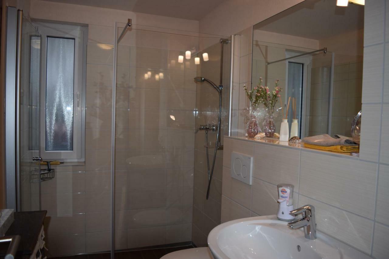Nichtraucherferienwohnung-Neckarblick Ze-2022-74-Wz-118A Heidelberg Buitenkant foto