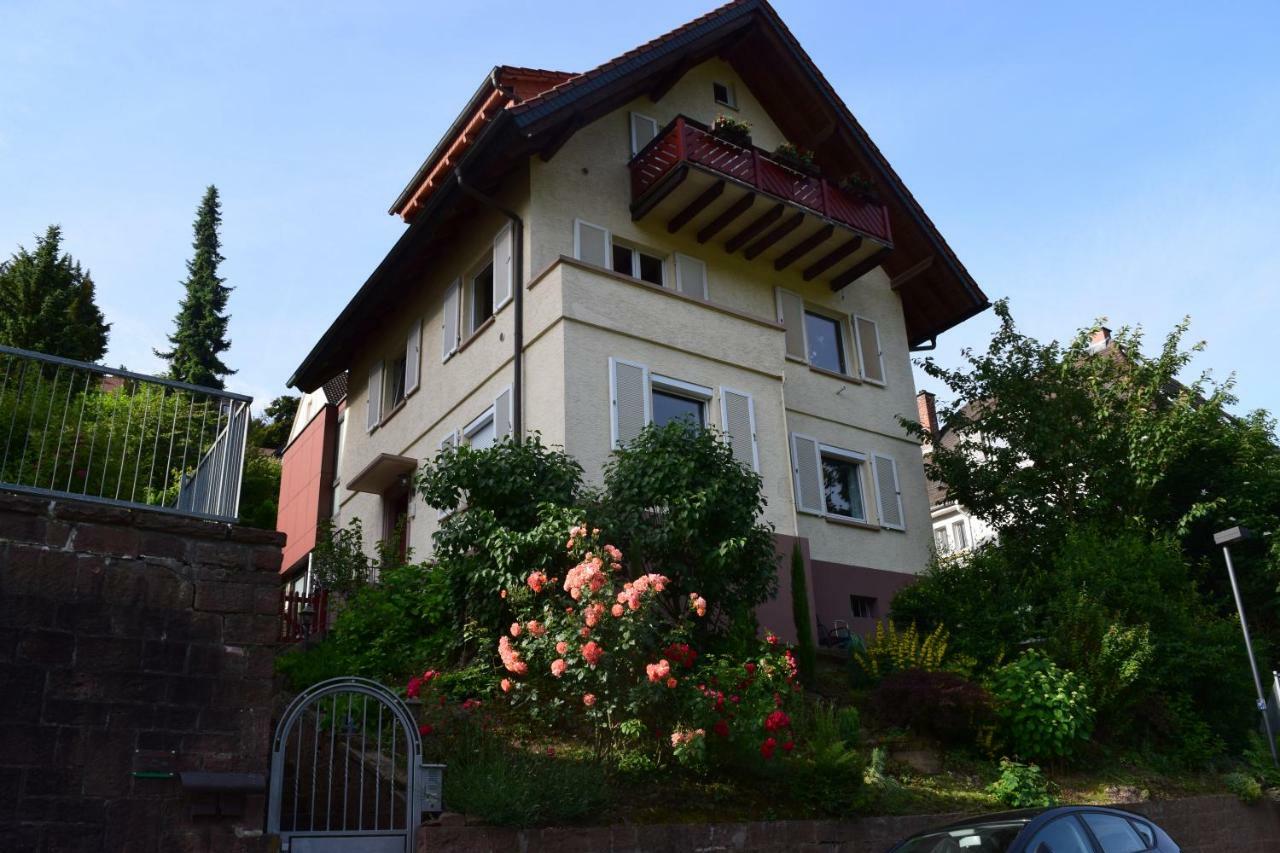 Nichtraucherferienwohnung-Neckarblick Ze-2022-74-Wz-118A Heidelberg Buitenkant foto