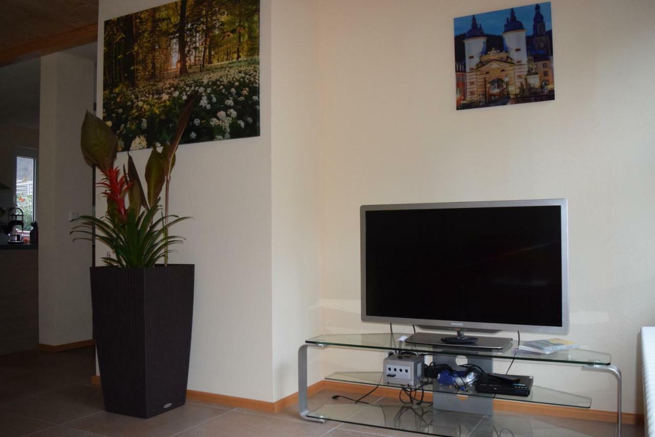 Nichtraucherferienwohnung-Neckarblick Ze-2022-74-Wz-118A Heidelberg Buitenkant foto